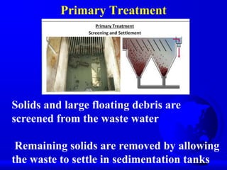 Primary Treatment

Solids and large floating debris are
screened from the waste water
Remaining solids are removed by allowing
the waste to settle in sedimentation tanks

 
