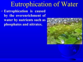 Eutrophication of Water
 Eutrophication

is caused
by the overenrichment of
water by nutrients such as
phosphates and nitrates.

 