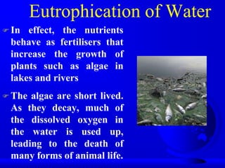 Eutrophication of Water
 In

effect, the nutrients
behave as fertilisers that
increase the growth of
plants such as algae in
lakes and rivers

 The

algae are short lived.
As they decay, much of
the dissolved oxygen in
the water is used up,
leading to the death of
many forms of animal life.

 