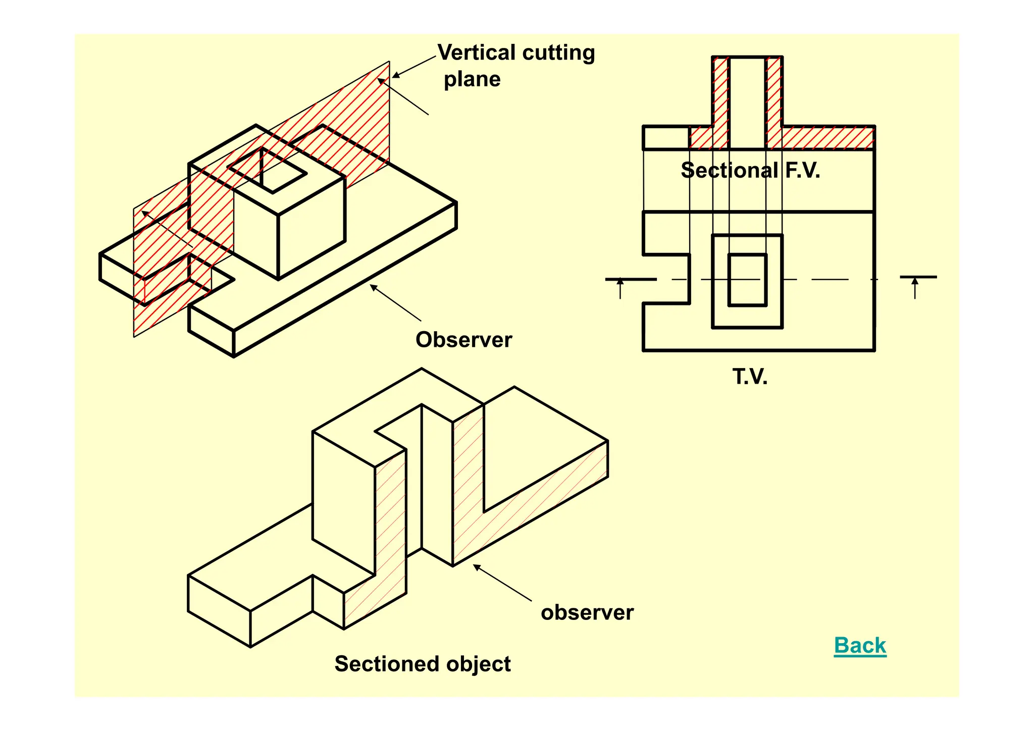 Vertical cutting
plane
Sectional F.V.
Observer
T.V.
observer
Sectioned object
observer
Back
 