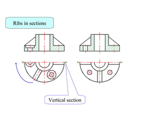 Ribs in sections Vertical section 
