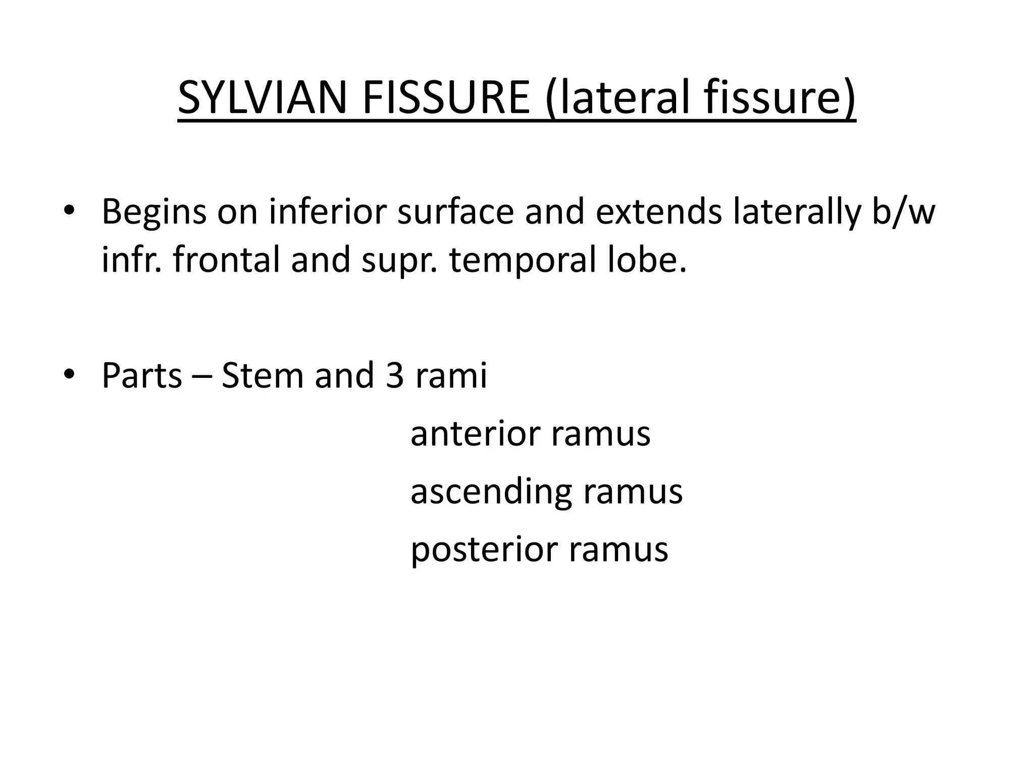 SYLVIAN FISSURE (lateral fissure)

• Begins on inferior surface and extends laterally b/w
  infr. frontal and supr. temporal lobe.

• Parts – Stem and 3 rami
                    anterior ramus
                    ascending ramus
                    posterior ramus
 
