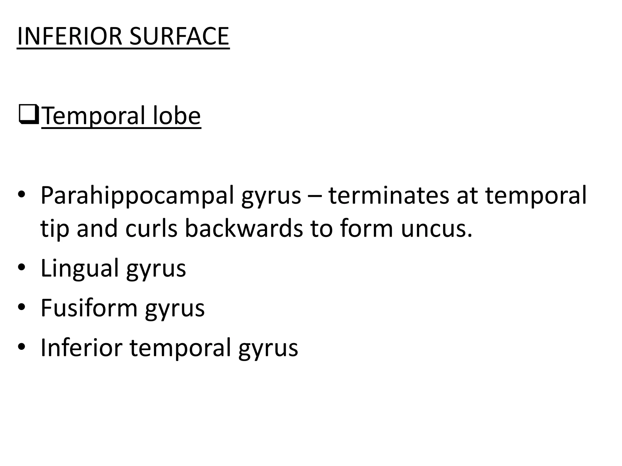 INFERIOR SURFACE

Temporal lobe

• Parahippocampal gyrus – terminates at temporal
  tip and curls backwards to form uncus.
• Lingual gyrus
• Fusiform gyrus
• Inferior temporal gyrus
 