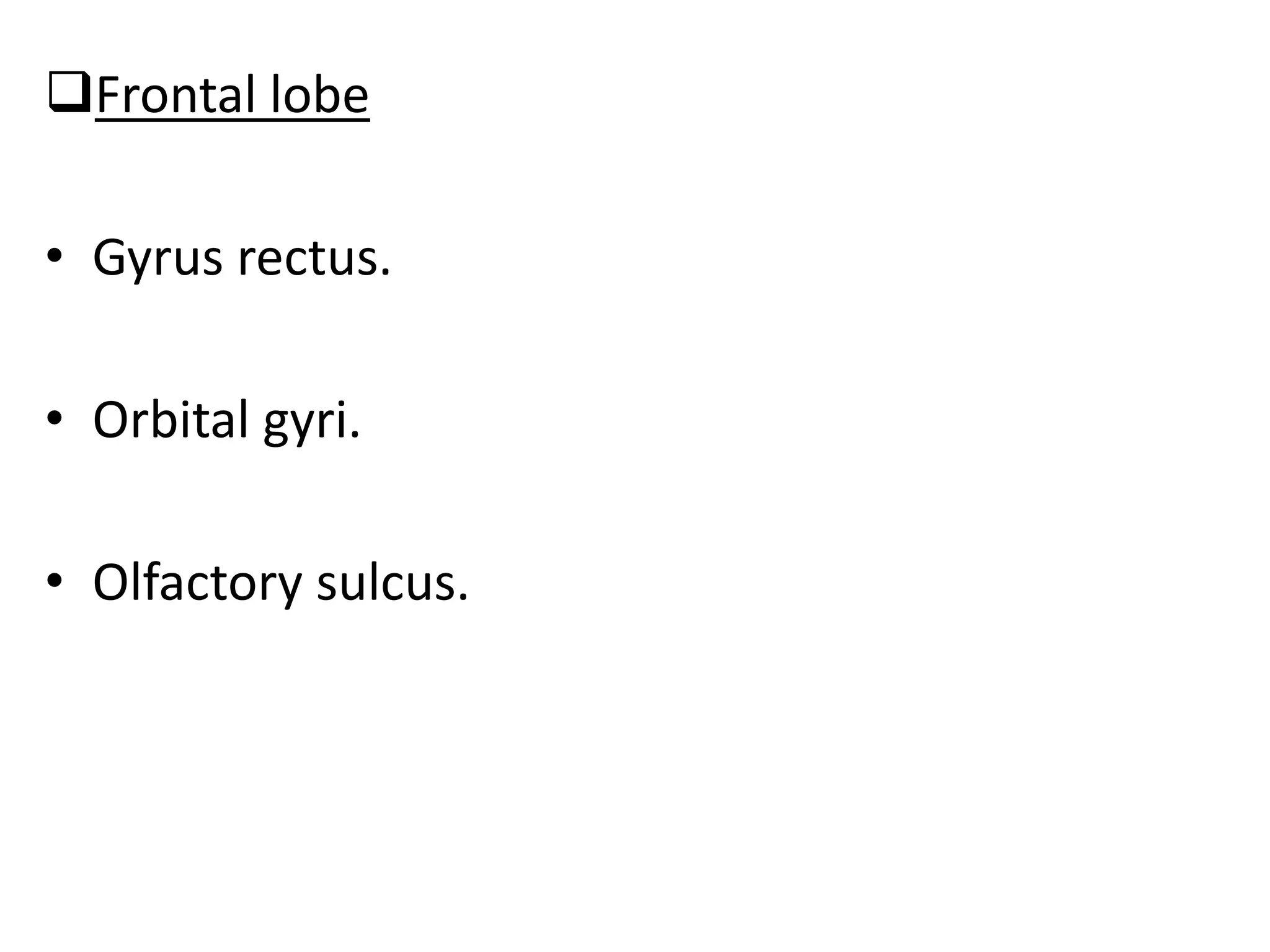Frontal lobe

• Gyrus rectus.

• Orbital gyri.

• Olfactory sulcus.
 