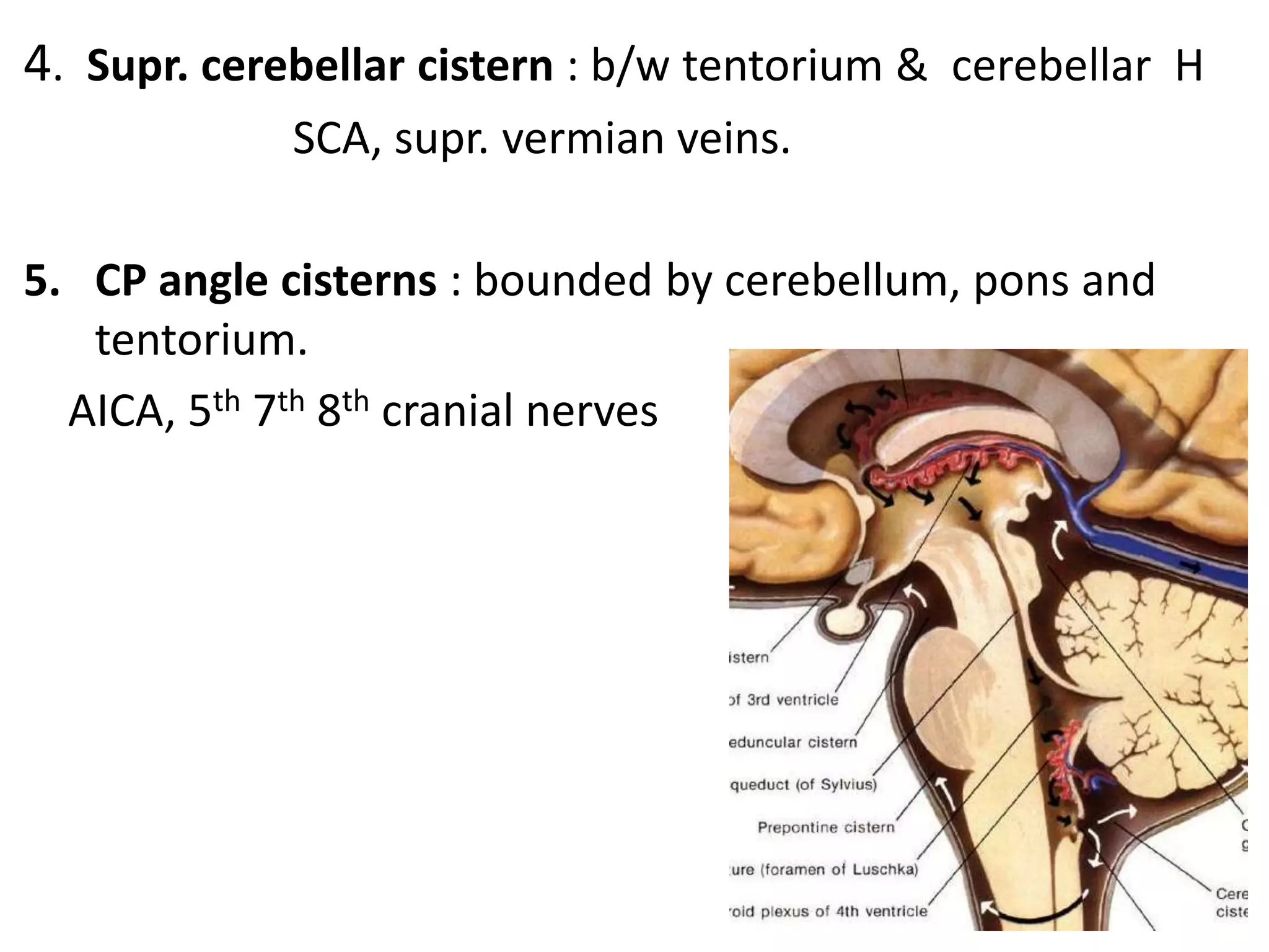 4. Supr. cerebellar cistern : b/w tentorium & cerebellar H
             SCA, supr. vermian veins.

5. CP angle cisterns : bounded by cerebellum, pons and
   tentorium.
  AICA, 5th 7th 8th cranial nerves
 