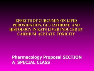 Pharmacology Proposal SECTION A  SPECIAL CLASS 