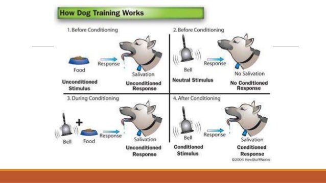 Pavlovian conditioning, phobias
