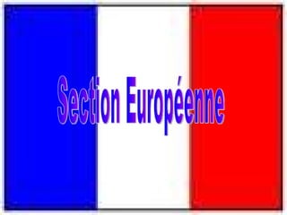 Section Européenne 