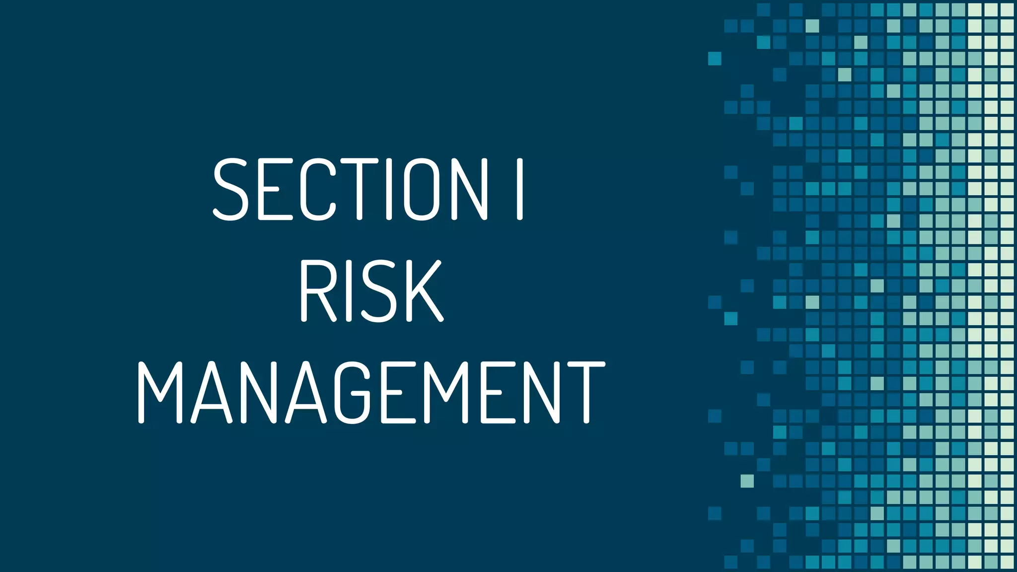 SECTION I
RISK
MANAGEMENT
 
