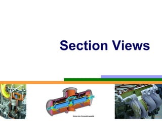 Section Views
 