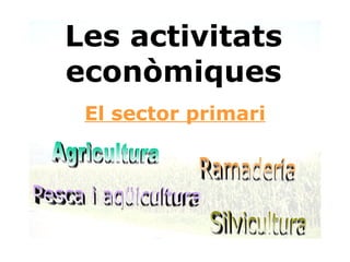 Les activitats econòmiques El sector primari Ramaderia Agricultura Pesca i aqüicultura Silvicultura 