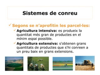 Sistemes de conreu
Segons se n’aprofitin les parcel·les:
Agricultura intensiva: es produeix la
quantitat més gran de pro...