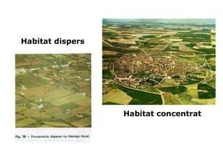 Habitat dispers
Habitat concentrat
 