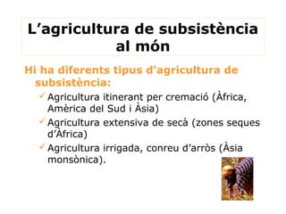 L’agricultura de subsistència
al món
Hi ha diferents tipus d'agricultura de
subsistència:
Agricultura itinerant per cremació (Àfrica,
Amèrica del Sud i Àsia)
Agricultura extensiva de secà (zones seques
d’Àfrica)
Agricultura irrigada, conreu d’arròs (Àsia
monsònica).
 