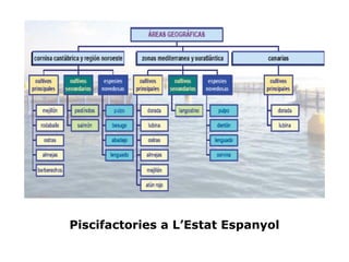Piscifactories a L’Estat Espanyol
 