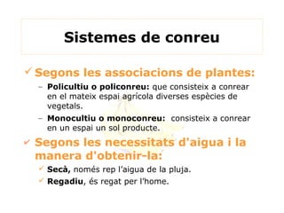 Sistemes de conreu
Segons les associacions de plantes:
– Policultiu o policonreu: que consisteix a conrear
en el mateix e...