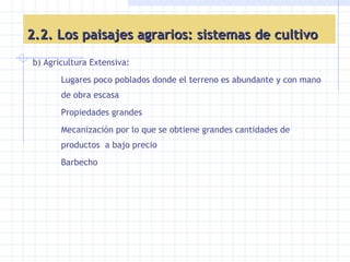 b) Agricultura Extensiva: Lugares poco poblados donde el terreno es abundante y con mano de obra escasa Propiedades grandes Mecanización por lo que se obtiene grandes cantidades de productos  a bajo precio Barbecho  2.2. Los paisajes agrarios: sistemas de cultivo 