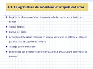 3.3. La agricultura de subsistencia: irrigada del arroz Lugares de clima monzónico: lluvias abundantes de verano e inviernos cálidos Tierras fértiles Cultivo del arroz Agricultura  intensiva : cosechas en verano  de la que se obtiene  el plantel  para cultivar la cosecha de invierno Trabajo duro y minucioso En terrenos con pendientes se desarrollan  los bancales  para aprovechar el terreno  