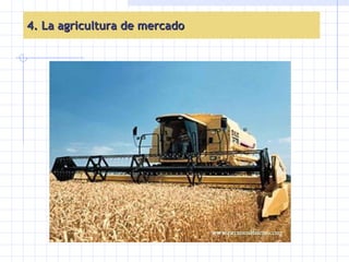 4. La agricultura de mercado 