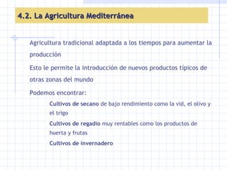 4.2. La Agricultura Mediterránea Agricultura tradicional adaptada a los tiempos para aumentar la producción Esto le permite la introducción de nuevos productos típicos de otras zonas del mundo Podemos encontrar: Cultivos de secano  de bajo rendimiento como la vid, el olivo y el trigo Cultivos de regadío  muy rentables como los productos de huerta y frutas Cultivos de invernadero   