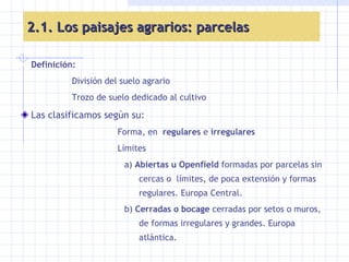 2.1. Los paisajes agrarios: parcelas Definición: División del suelo agrario  Trozo de suelo dedicado al cultivo Las clasificamos según   su: Forma, en  regulares  e  irregulares Límites  a)  Abiertas u Openfield  formadas por parcelas sin cercas o  límites, de poca extensión y formas regulares. Europa Central. b)  Cerradas o bocage  cerradas por setos o muros, de formas irregulares y grandes. Europa atlántica.   