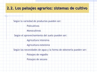 2.2. Los paisajes agrarios: sistemas de cultivo Según la variedad de productos pueden ser: Policultivos  Monocultivos Según el aprovechamiento del suelo pueden ser: Agricultura intensiva Agricultura extensiva Según las necesidades de agua y la forma de obtenerla pueden ser: Paisajes de regadío Paisajes de secano 
