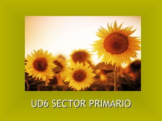 UD6 SECTOR PRIMARIO 