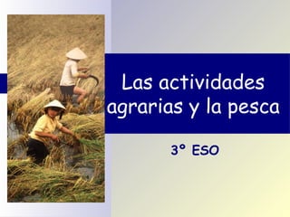 Las actividades
agrarias y la pesca

       3º ESO
 