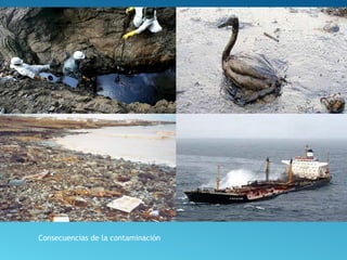 Consecuencias de la contaminación
 