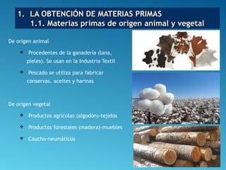 1.1. LA OBTENCIÓN DE MATERIAS PRIMASLA OBTENCIÓN DE MATERIAS PRIMAS
1.1. Materias primas de origen animal y vegetal1.1. Materias primas de origen animal y vegetal
De origen animal
 Procedentes de la ganadería (lana,
pieles). Se usan en la Industria Textil
 Pescado se utiliza para fabricar
conservas, aceites y harinas
De origen vegetal
 Productos agrícolas (algodón)-tejidos
 Productos forestales (madera)-muebles
 Caucho-neumáticos
 