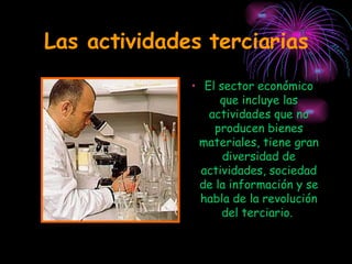 Las actividades terciarias El sector económico que incluye las actividades que no producen bienes materiales, tiene gran diversidad de actividades, sociedad de la información y se habla de la revolución del terciario.  