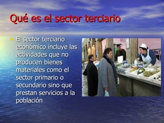 Qué es el sector terciario El sector terciario económico incluye las actividades que no producen bienes materiales como el sector primario o secundario sino que prestan servicios a la población 