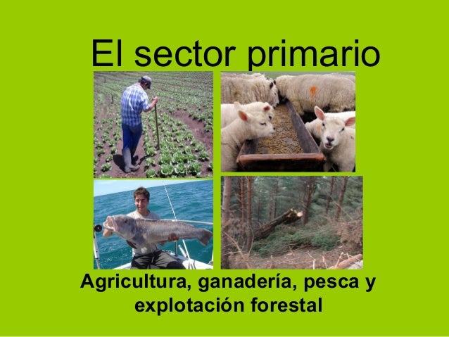 Resultado de imagen de el sector primario