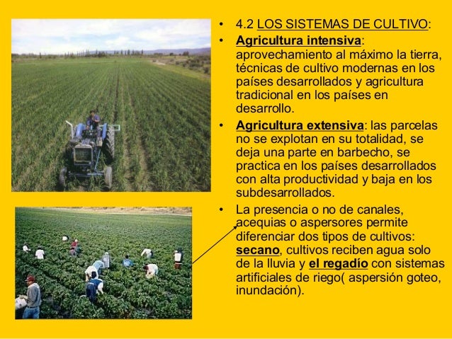 Tema 7 Sector Primario