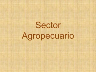 Sector Agropecuario 