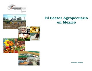 El Sector Agropecuario
      en México




             Diciembre del 2000
 