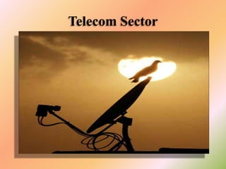 Telecom Sector

 
