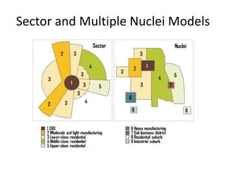 Sector and Multiple Nuclei Models
 