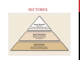 SECTORES.
 