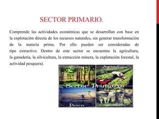 SECTOR PRIMARIO.
Comprende las actividades económicas que se desarrollan con base en
la explotaciòn directa de los recursos naturales, sin generar transformación
de la materia prima. Por ello pueden ser consideradas de
tipo extractivo. Dentro de este sector se encuentra la agricultura,
la ganadería, la silvicultura, la extracción minera, la explotación forestal, la
actividad pesquera).
 