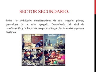 SECTOR SECUNDARIO.
Reúne las actividades transformadoras de esas materias primas,
generadoras de un valor agregado. Dependiendo del nivel de
transformación y de los productos que se obtengan, las industrias se pueden
dividir en:
 