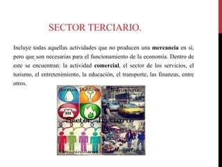 SECTOR TERCIARIO.
Incluye todas aquellas actividades que no producen una mercancía en sí,
pero que son necesarias para el funcionamiento de la economía. Dentro de
este se encuentran: la actividad comercial, el sector de los servicios, el
turismo, el entretenimiento, la educación, el transporte, las finanzas, entre
otros.
 