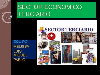 SECTOR ECONOMICO
TERCIARIO
EQUIPO:
MELISSA
LUIS
MIGUEL
PABLO
 