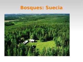 Bosques: Suecia
 