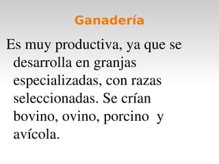 Ganadería

Es muy productiva, ya que se 
 desarrolla en granjas 
 especializadas, con razas 
 seleccionadas. Se crían  
 bovino, ovino, porcino  y 
 avícola.
 