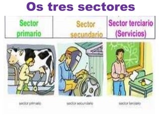 Os tres sectores
 