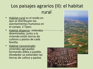 Los paisajes agrarios (II): el habitat
rural
• Habitat rural es el modo en
que se distribuyen los
asentamientos humanos en
el campo. 2 Tipos:
• Habitat disperso: viviendas
diseminadas, junto a la
vivienda están tierras de
cultivos y pastos de cada
familia.
• Habitat concentrado:
viviendas agrupadas
formando aldea o pueblo.
Alrededor se extienden las
tierras de cultivo y pastos
 