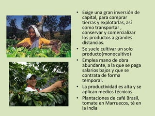• Exige una gran inversión de
capital, para comprar
tierras y explotarlas, así
como transportar ,
conservar y comercializar
los productos a grandes
distancias.
• Se suele cultivar un solo
producto(monocultivo)
• Emplea mano de obra
abundante, a la que se paga
salarios bajos y que se
contrata de forma
temporal.
• La productividad es alta y se
aplican medios técnicos.
• Plantaciones de café Brasil,
tomate en Marruecos, té en
la India
 