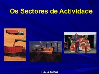 Os Sectores de Actividade Paula Tomaz 