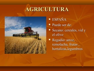 AGRICULTURA
        ESPAÑA
        Puede ser de:
        Secano: cereales, vid y
         el olivo
        Regadío: arroz,
         remolacha, frutas ,
         hortalizas,legumbres
 